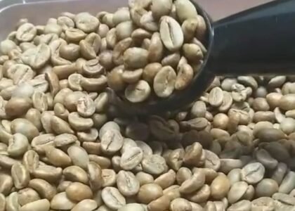 Mengenal Kopi Robusta Temanggung di Kopi Ki Onder