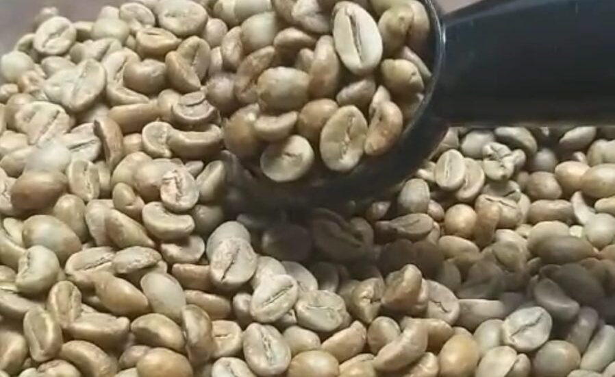 Mengenal Kopi Robusta Temanggung di Kopi Ki Onder
